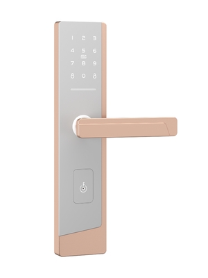 โครงการ Smart Touchscreen Passcode Door Lock สําหรับผู้บริหาร 1 คน และผู้ใช้สูงสุด 100 คน