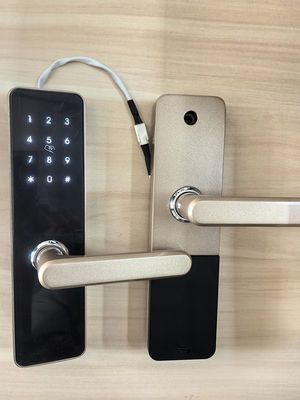 อัลลูมิเนียมสลัดสีจบ Bluetooth ประตูล็อค การควบคุมทางไกลด้วย Bluetooth / Wi-Fi การเชื่อมต่อ