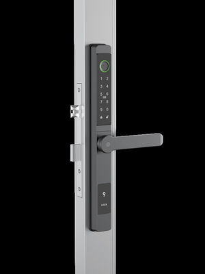 การจําใบหน้า / Cat Eye Video / Palm Vein Smart Door Lock IP65 อลูมิเนียม