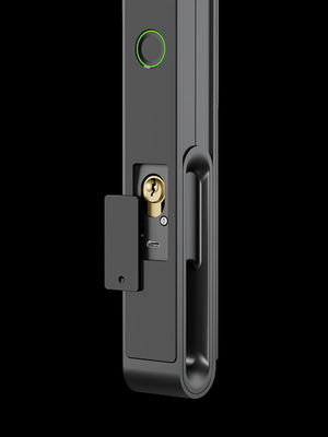 การจําใบหน้า / Cat Eye Video / Palm Vein Smart Door Lock IP65 อลูมิเนียม