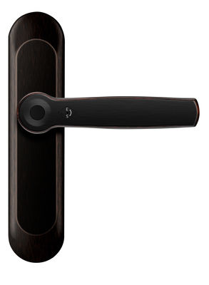 ROHS Smart Fingerprint Bluetooth Door Lock AI Voice ซิงค์อลอย แฮนเนล